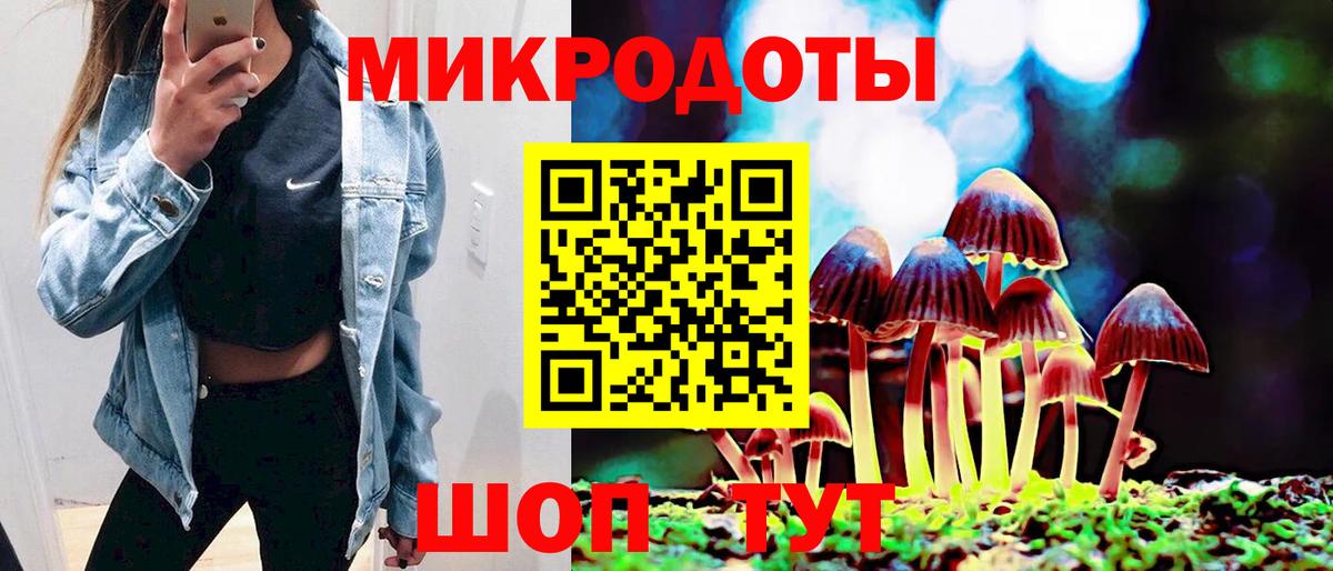 Галлюциногенные грибы Psilocybine cubensis  Вход с VPN  Хабаровск 