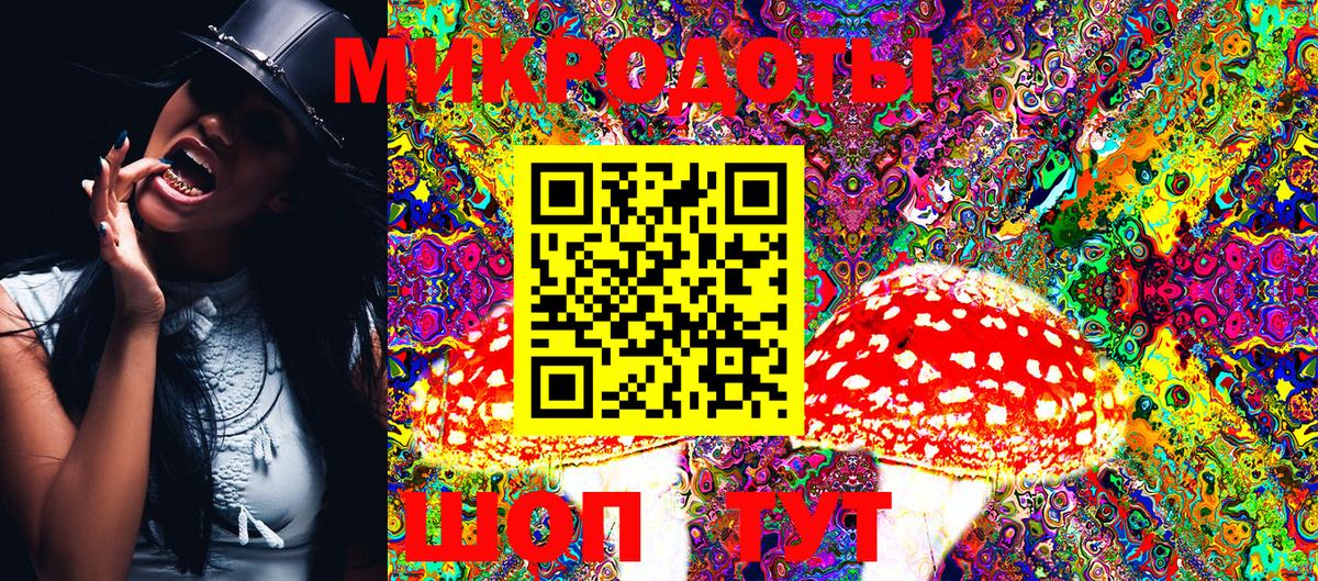 Псилоцибиновые грибы Psilocybine cubensis Хабаровск